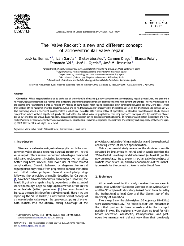 (PDF) The ‘Valve Racket’: a new and different concept of ...