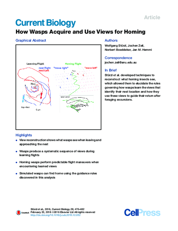 (PDF) How Wasps Acquire and Use Views for Homing