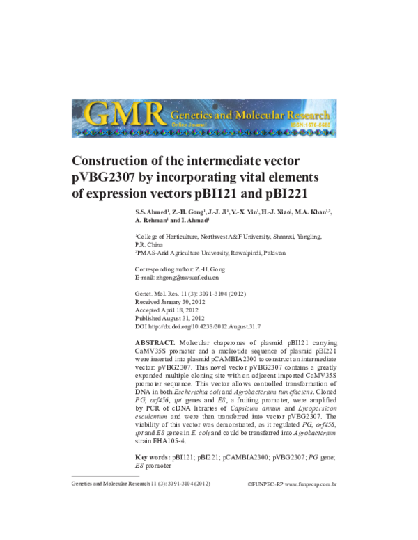 (PDF) Construction of the intermediate vector pVBG2307 by incorporating ...