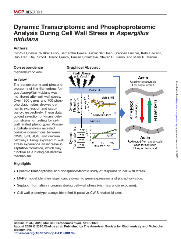 (PDF) Dynamic Transcriptomic and Phosphoproteomic Analysis During Cell ...