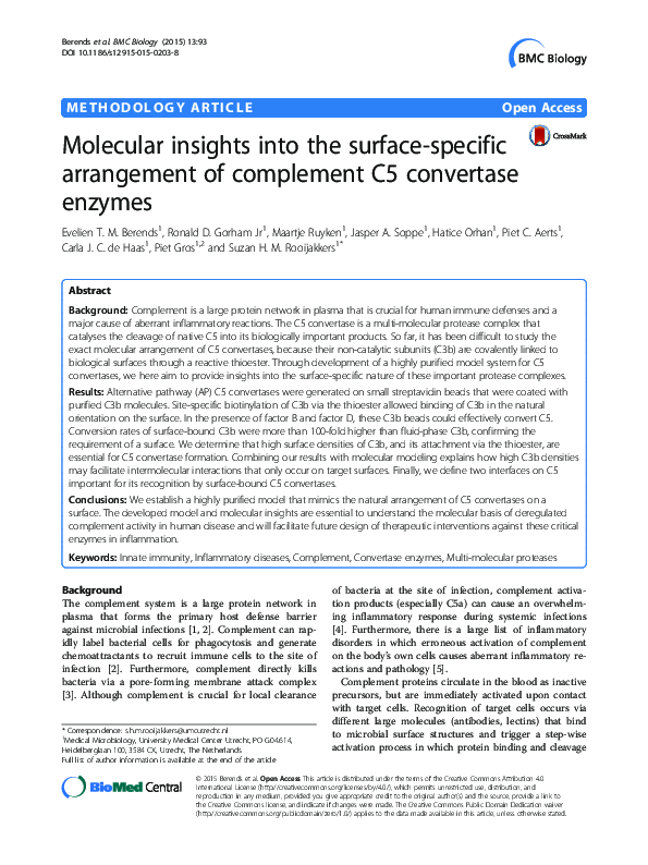 (PDF) Molecular insights into the surface-specific arrangement of ...