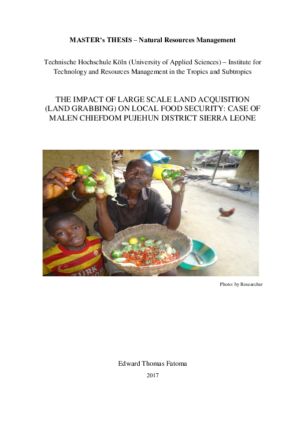 (PDF) The Impact of Large Scale Land Acquisition (Land Grabbing) on ...
