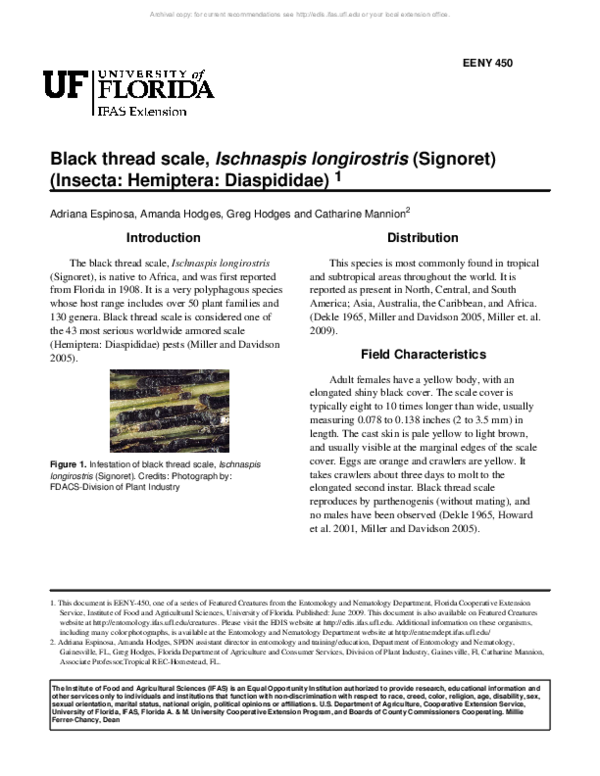 (PDF) Black thread scale, Ischnaspis longirostris (Signoret) (Insecta