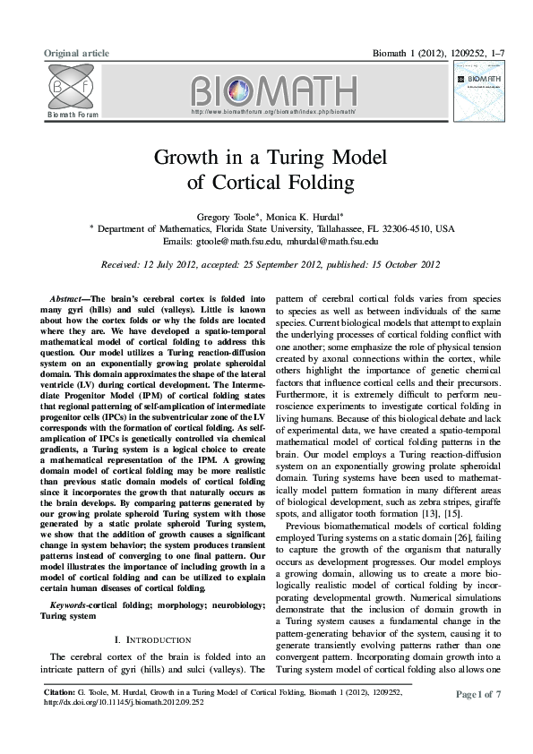 (PDF) Growth in a Turing Model of Cortical Folding