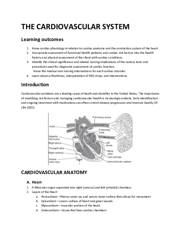 (PDF) THE CARDIOVASCULAR SYSTEM