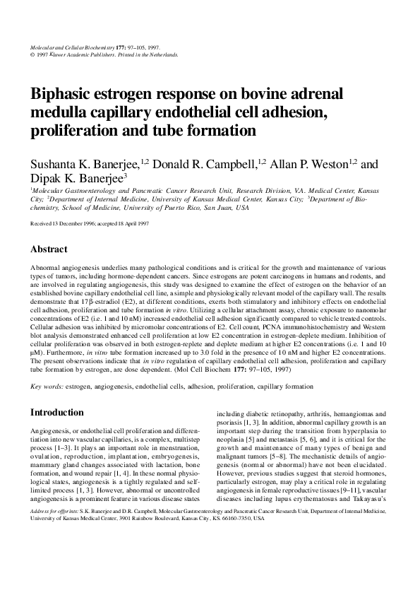 (PDF) Biphasic estrogen response on bovine adrenal medulla capillary