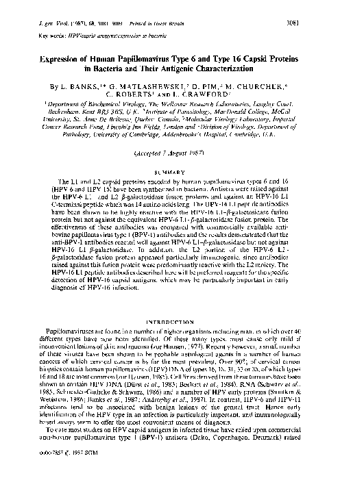 (PDF) Expression of Human Papillomavirus Type 6 and Type 16 Capsid ...