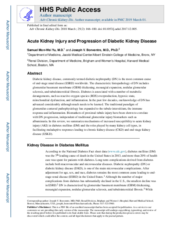 (PDF) Acute Kidney Injury and Progression of Diabetic Kidney Disease
