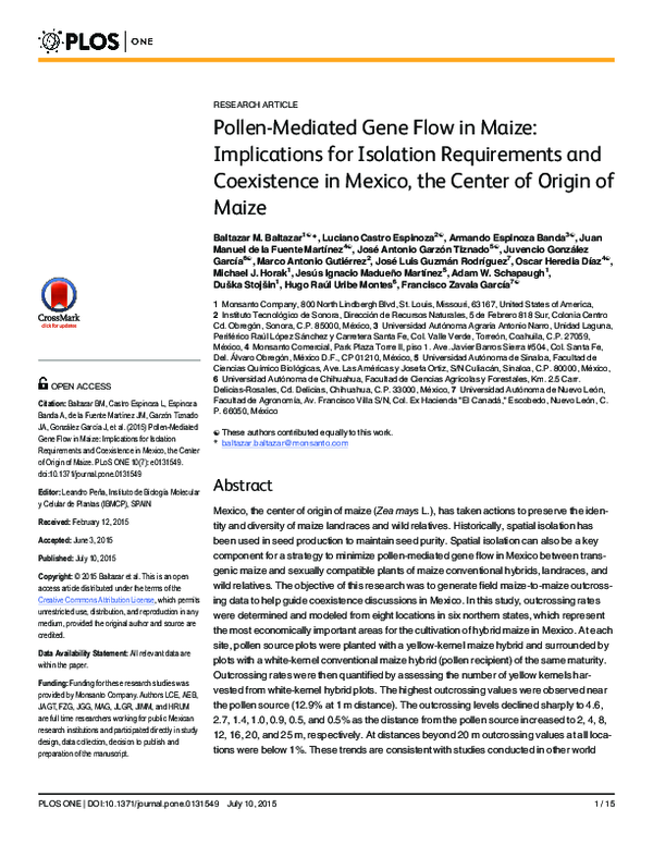 (PDF) Pollen-Mediated Gene Flow in Maize: Implications for Isolation ...