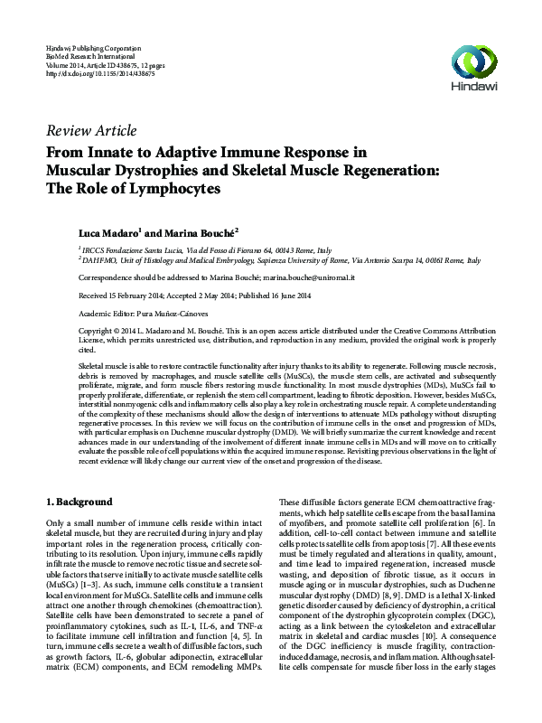(PDF) From Innate to Adaptive Immune Response in Muscular Dystrophies ...