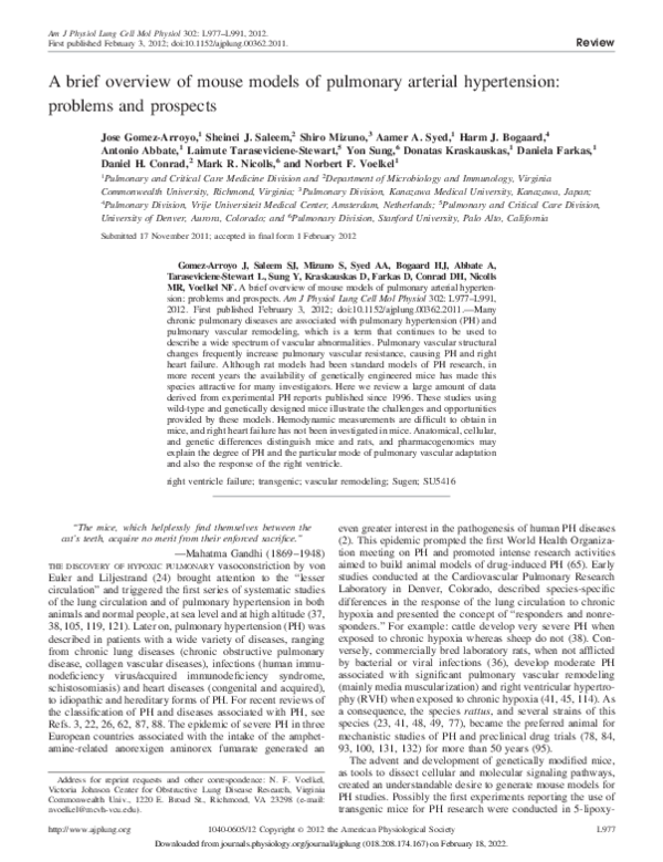 (PDF) A brief overview of mouse models of pulmonary arterial