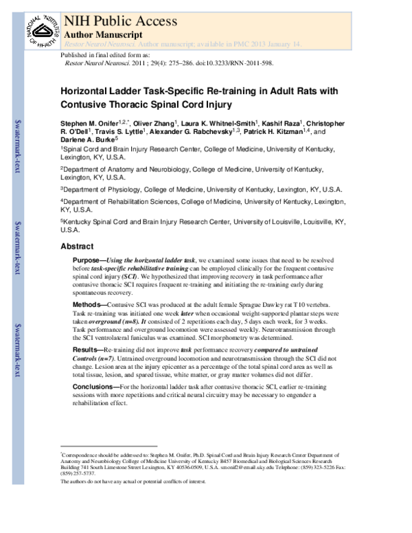 (PDF) Horizontal ladder task-specific re-training in adult rats with ...