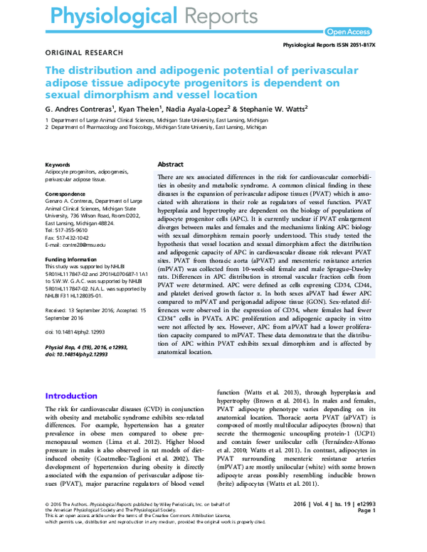 (PDF) The distribution and adipogenic potential of perivascular adipose ...