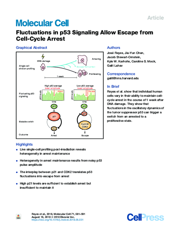 (PDF) Fluctuations in p53 Signaling Allow Escape from Cell-Cycle Arrest