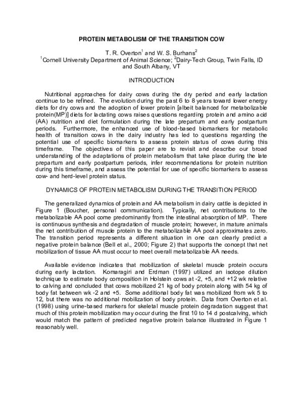 (PDF) Protein and Amino Acid Nutrition of the Transition Cow