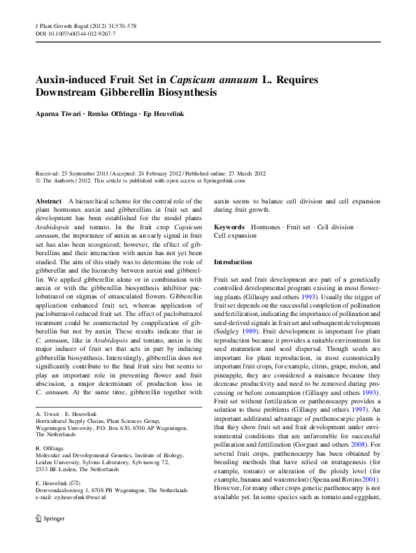 (PDF) Auxin-induced Fruit Set in Capsicum annuum L. Requires Downstream ...