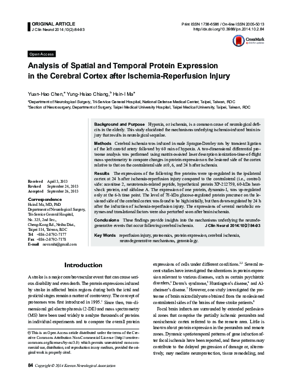 (PDF) Analysis of spatial and temporal protein expression in the ...