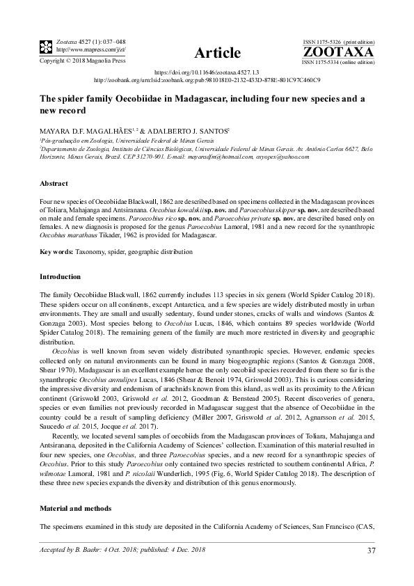 (PDF) The spider family Oecobiidae in Madagascar, including four new ...