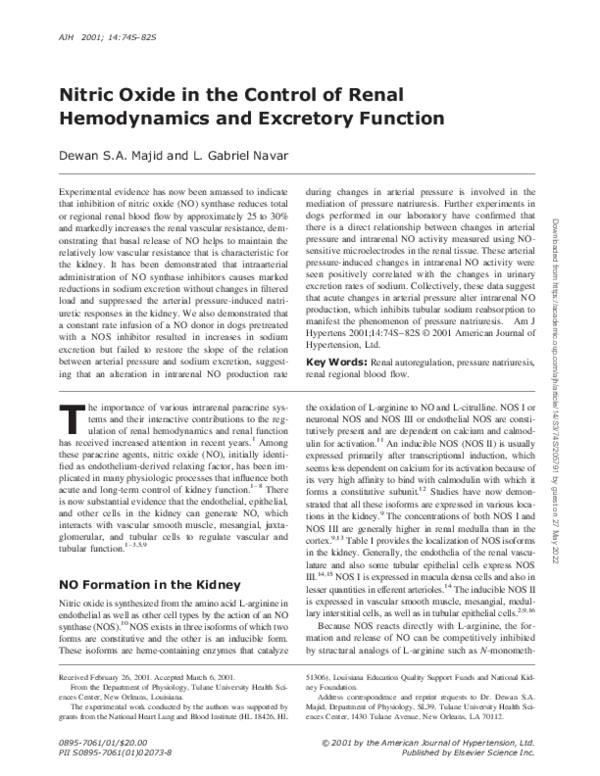 (PDF) Nitric oxide in the control of renal hemodynamics and excretory ...