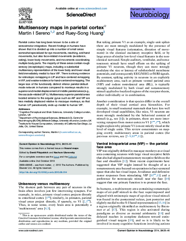 (PDF) Multisensory maps in parietal cortex
