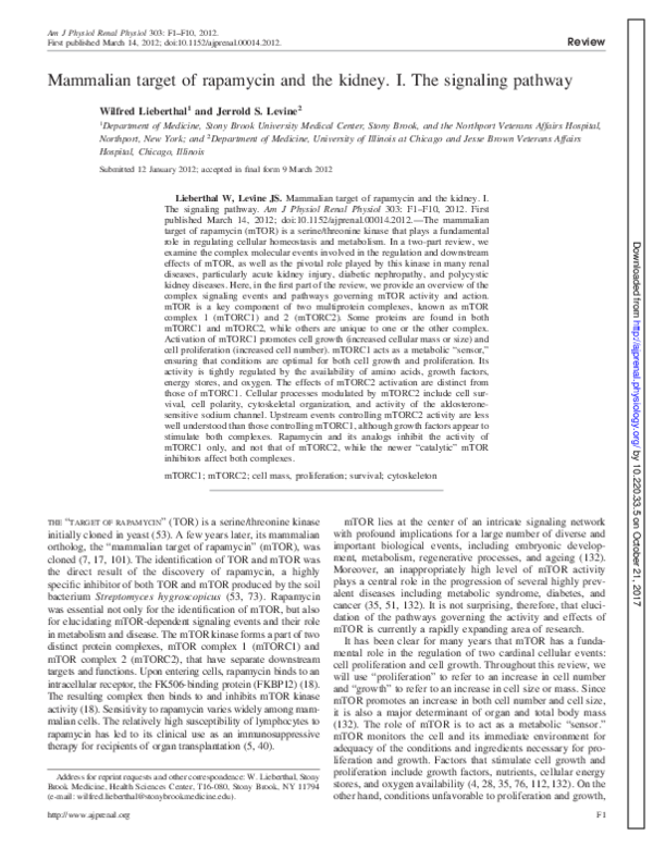 (PDF) Mammalian target of rapamycin and the kidney. I. The signaling ...