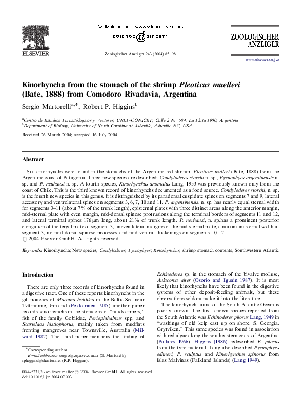 (PDF) Kinorhyncha from the stomach of the shrimp Pleoticus muelleri ...