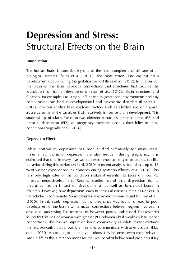 (PDF) Depression and Stress: Structural Effects on the Brain