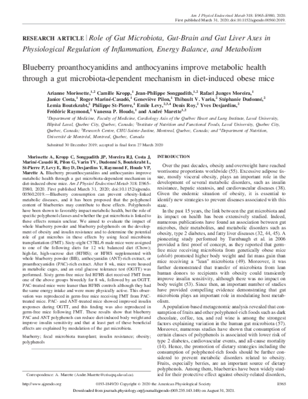 (PDF) Blueberry proanthocyanidins and anthocyanins improve metabolic ...