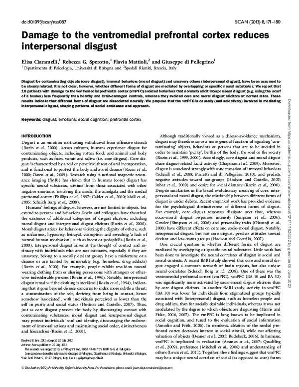 (PDF) Damage to the ventromedial prefrontal cortex reduces ...