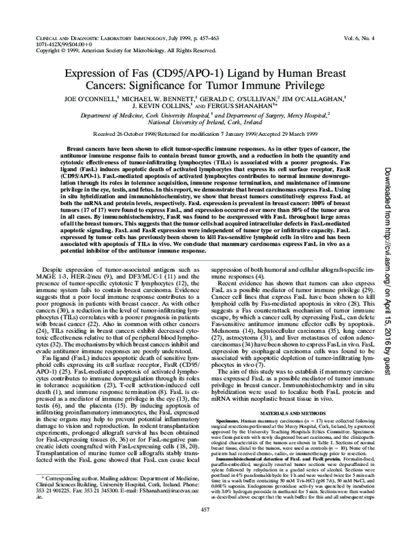 (PDF) Expression of Fas (CD95/APO-1) Ligand by Human Breast Cancers ...