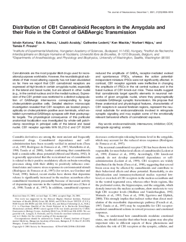 (PDF) Distribution of CB1 Cannabinoid Receptors in the Amygdala and ...