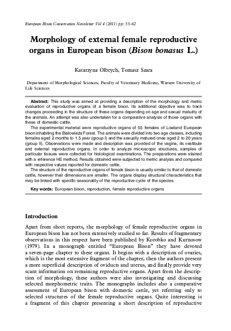(PDF) Morphology of external female reproductive organs in European ...