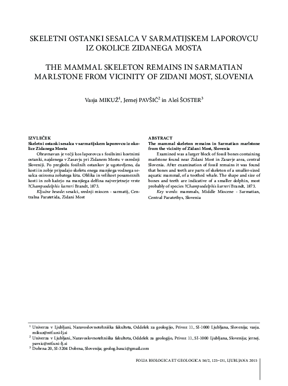 Skeletni ostanki sesalca v sarmatijskem laporovcu iz okolice Zidanega Mosta / The mammal skeleton remains in Sarmatian marlstone from the vicinity of Zidani Most, Slovenia