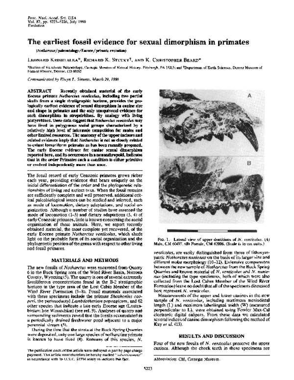 (PDF) The earliest fossil evidence for sexual dimorphism in primates