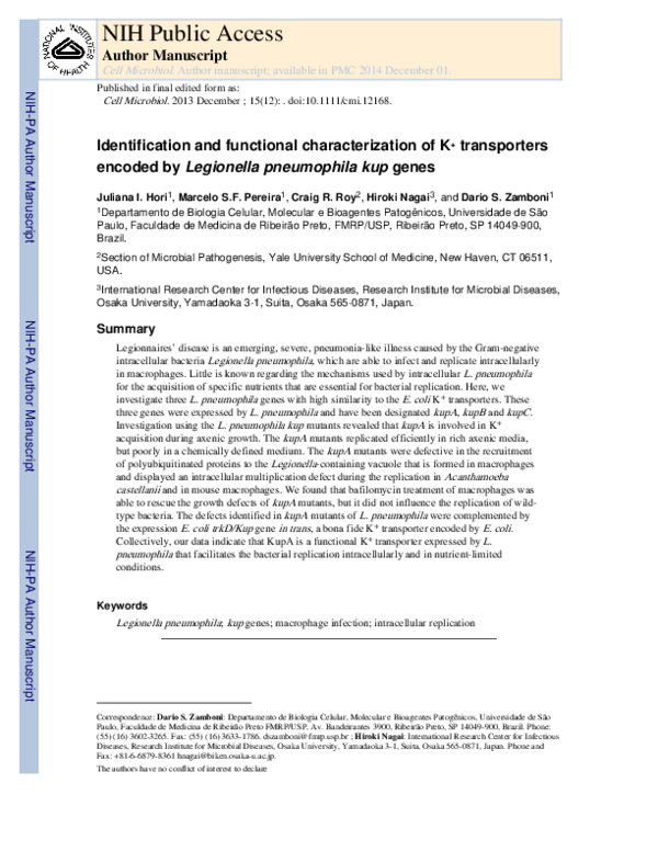 (PDF) Identification and functional characterization of K ...