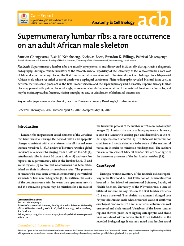 (PDF) Supernumerary lumbar ribs: a rare occurrence on an adult African ...