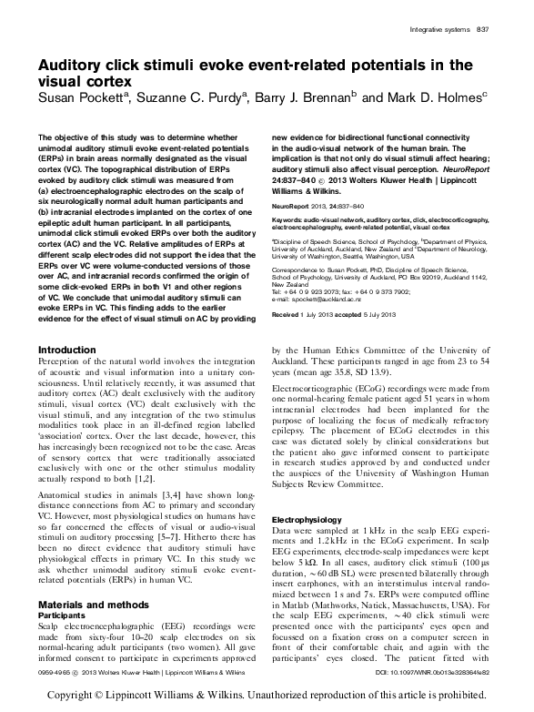 (PDF) Auditory click stimuli evoke event-related potentials in the ...