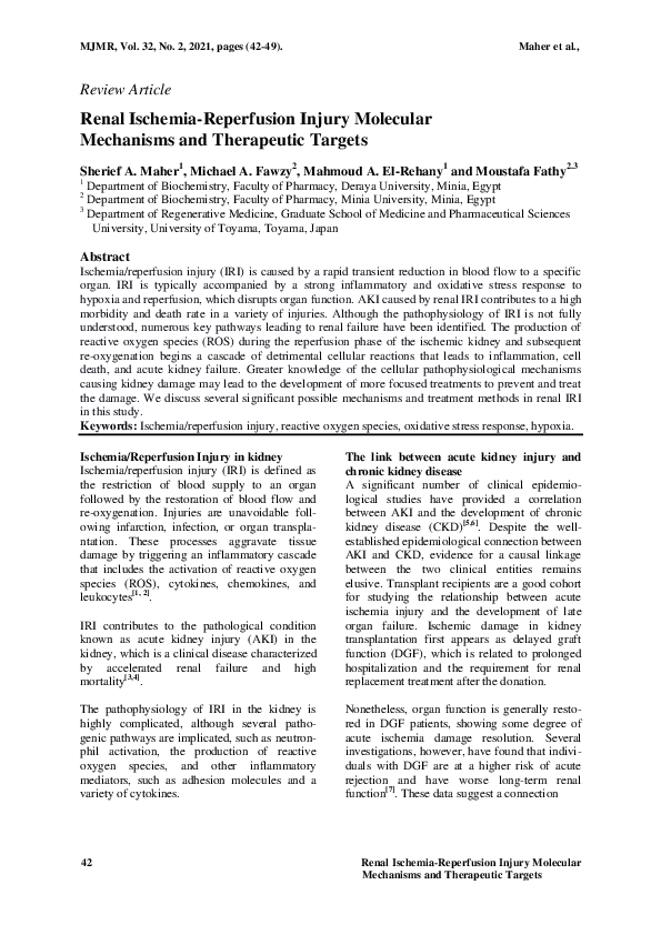 (PDF) Renal Ischemia-Reperfusion Injury Molecular Mechanisms and ...