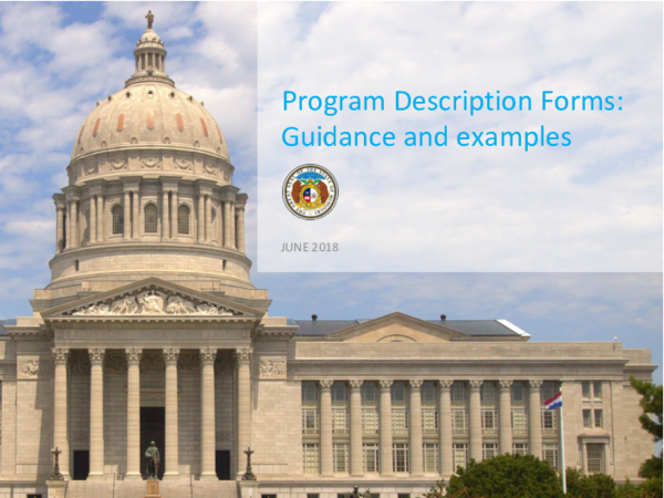 (PDF) Program Description Forms: Guidance and examples