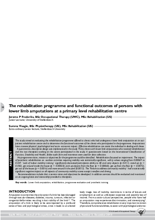 (PDF) The rehabilitation programme and functional outcomes of persons ...