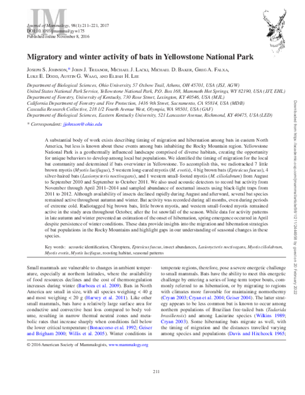(PDF) Migratory and winter activity of bats in Yellowstone National Park