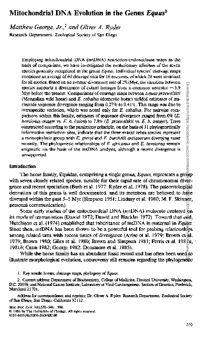 (PDF) Mitochondrial DNA evolution in the genus Equus