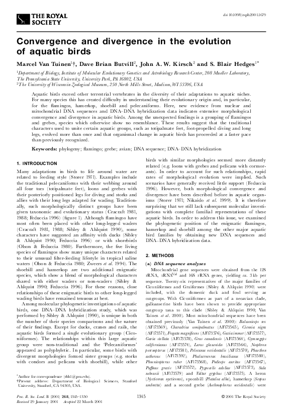(PDF) Convergence and divergence in the evolution of aquatic birds