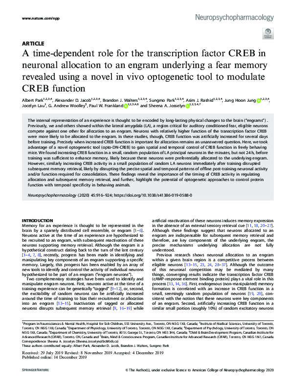 (PDF) A time-dependent role for the transcription factor CREB in ...