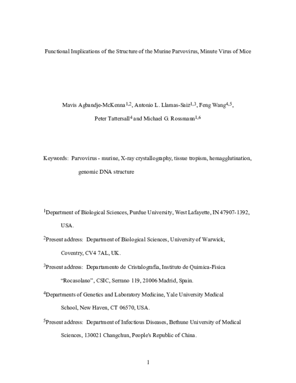 PDF Functional Implications Of The Structure Of The Murine Parvovirus PDF Functional Implications Of The Structure Of The Murine Parvovirus