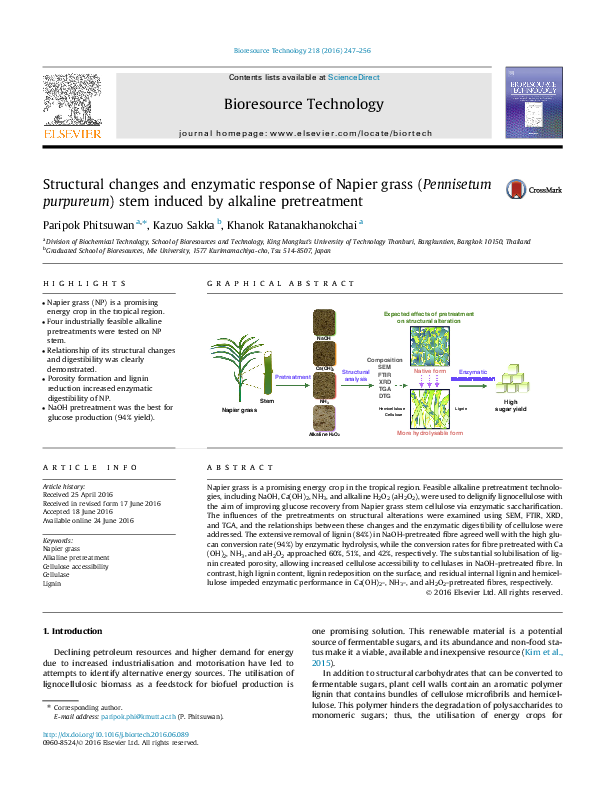 (PDF) Structural changes and enzymatic response of Napier grass ...