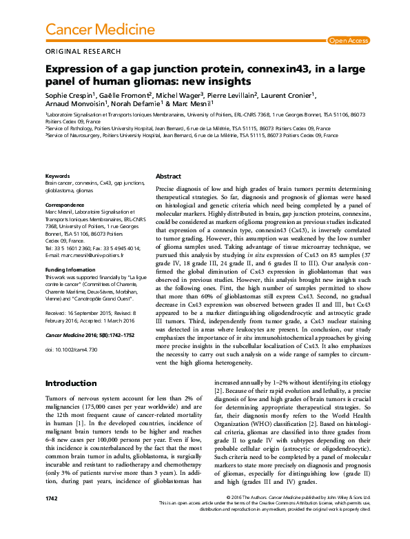 (PDF) Expression of the gap junction protein connexin43 is increased