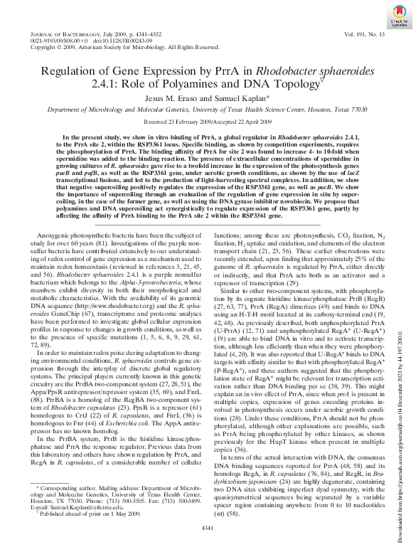 (PDF) Regulation of Gene Expression by PrrA in Rhodobacter sphaeroides ...