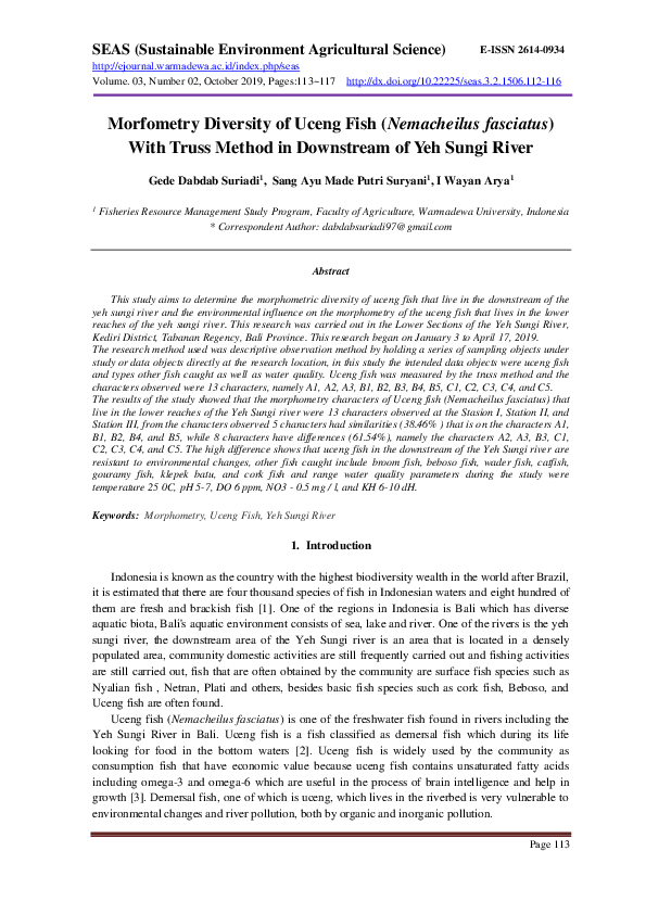 (PDF) Morfometry Diversity of Uceng Fish (Nemacheilus fasciatus) With ...