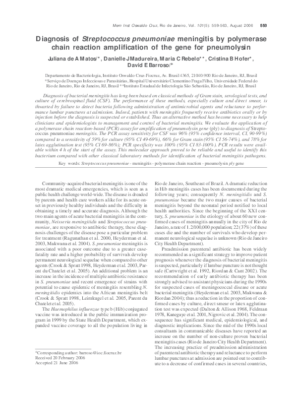 Streptococcus pneumoniae essay 08 image